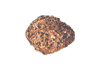 mit Kürbiskernen